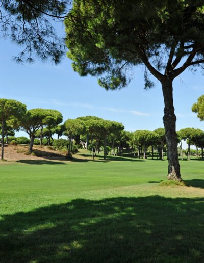 Campo de golf